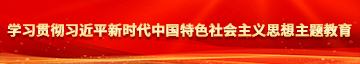 中国老女人操屄视频学习贯彻习近平新时代中国特色社会主义思想主题教育