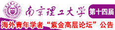 殴美逼插影院南京理工大学第十四届海外青年学者紫金论坛诚邀海内外英才！